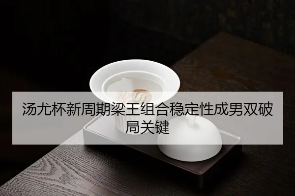 tang-you-bei-xin-zhou-qi-liang-wang-zu-he-wen-ding-xing-cheng-nan-shuang-po-ju-guan-jian-3-640.jpg