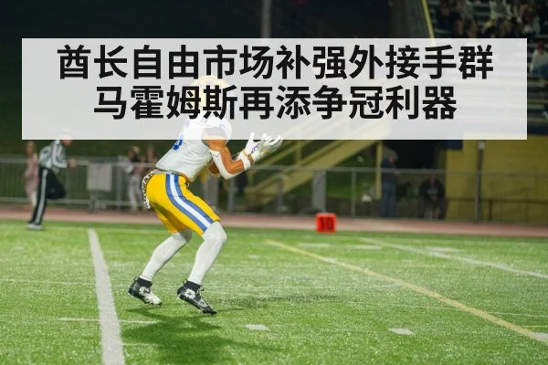 酋长自由市场补强外接手群 马霍姆斯再添争冠利器